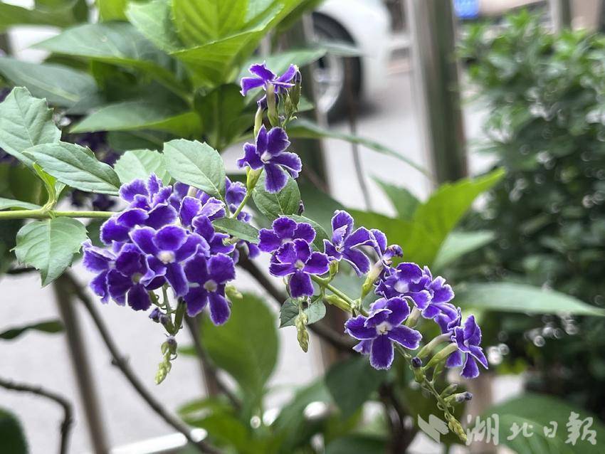 永利亚洲试玩
